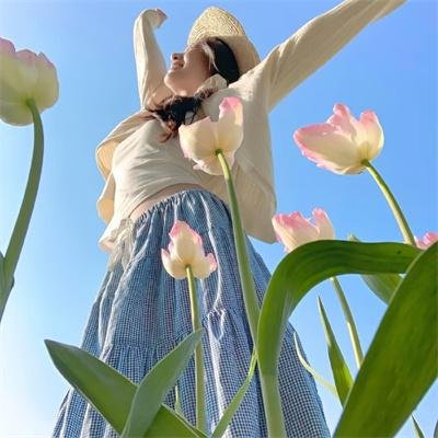国家公园：美国最好的主意